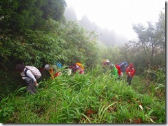 1-04ブッシュ化した登山道