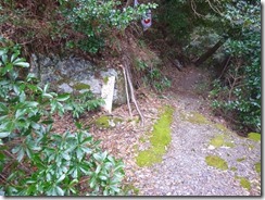 1-02いよいよ登山道へ