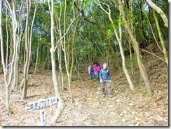 1-06林道から再び登山道へ