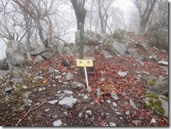 15IMG_9295