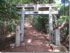 １３山道の途中に鳥居