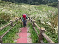 ２７緩やかの登りが続く