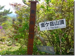 24P1050638