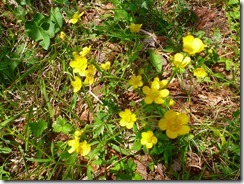 00P1050636