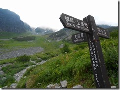 4-27天狗原分岐まで下山してきました