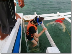 17海で遊ぶ