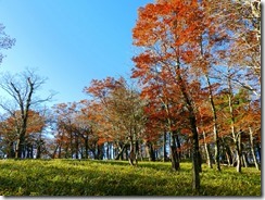 2-03今日は良い天気