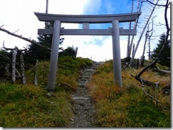 1-17鳥居のむこうに三角点がある