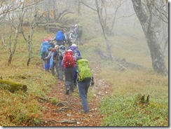 1-07更に続く山道