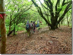 33下山道は自然林の中を歩きます