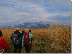 1-41ススキの登山道、前方は阿蘇五岳