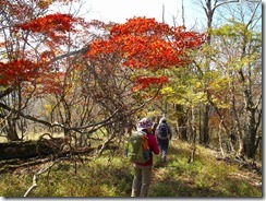 10　白鳥山へ出発