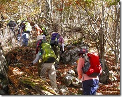 09石灰岩の山道　