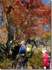 15　紅葉にみとれる