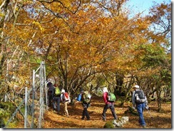 20　御池のまわりを廻りこむ