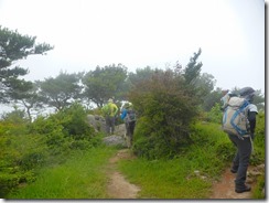 1-10分岐に戻り作礼山山頂です