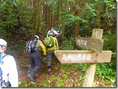 2-07登山道へ入ります