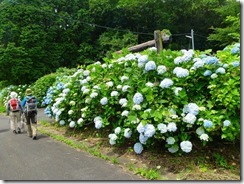 2-01八幡岳キャンプ場(登山口)