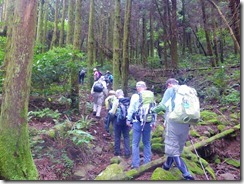 2-08苔むした登山道