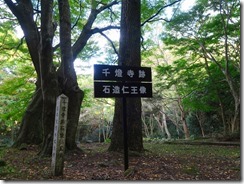 07IMG_3159