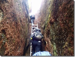 2-12岩に挟まれた狭い登山道、ハシゴが設置されています