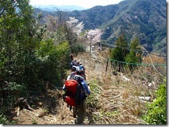 2-19南登山道に下りてきました