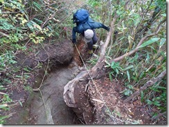 29登山道はこんなに荒れています