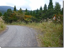 34約4kmの林道歩きです。林道がきれいになっています