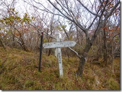 099合目分岐、稜線に上がってきました、山頂はすぐです