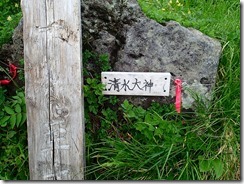 09　湿原の清水大神