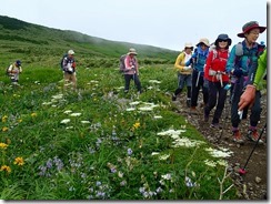 17お花が沢山で思わずこぼれる笑顔