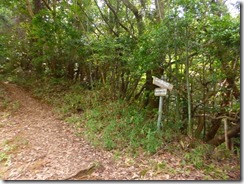 24霊山登山口があります