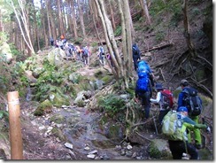 15沢沿いから五又路へ