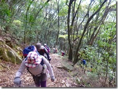 07自然林の中を登っていきます