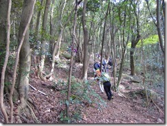 11神社からの登山道