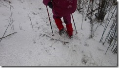 18気持ち良いアイゼンでの雪歩き