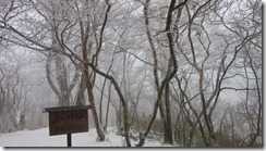 13樹氷の山頂