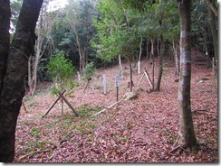 2-06IMG_5712