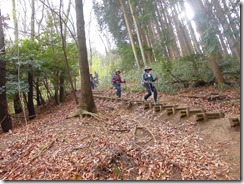 15　櫛羅の滝コースへ下山