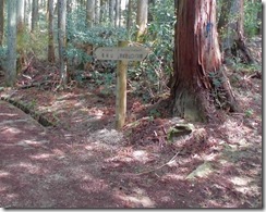 05　葛城山登山道分岐