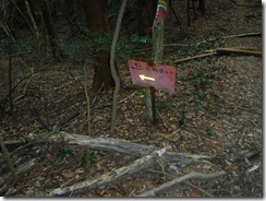 24暫定登山口分岐