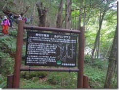 3-11RIMG5058