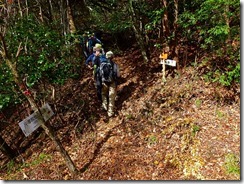 14上部林道登山口、再び登山道に入りますP1070966