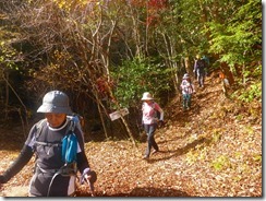 21上部林道登山口へ下山して来ましたP1100527