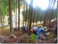 08植林帯の急登P1100505