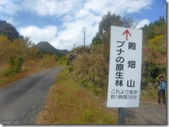 02駐車場にある道標P1100500