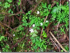 00IMG_2170