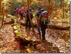 ２０下山は明るい林の中を進みます