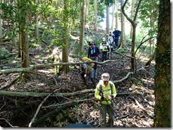 1-03倒木を避けて登ります
