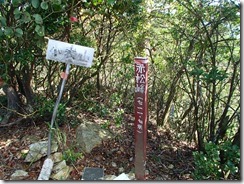 1-07小表山山頂到着、見晴らしがありません